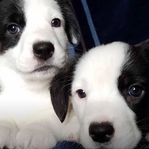 Meet your Posher, Bethany love